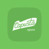 [TC] Paygate: Capusta.Space